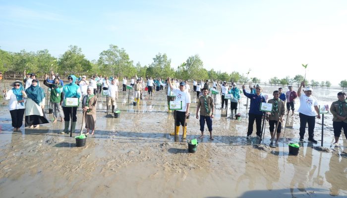 Pemprov Babel dan PKK Tanam Mangrove di Bangka Tengah, Perkuat Upaya Pelestarian Lingkungan Pesisir