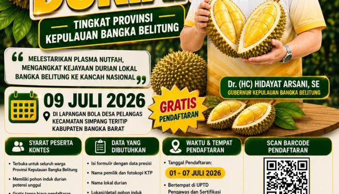 Kontes Durian Tingkat Provinsi Babel 2026 Segera Digelar, Raih Hadiah Jutaan Rupiah