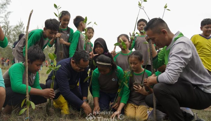 Semester I 2026, PT Timah Reklamasi 78,21 Hektare Lahan Bekas Tambang di Babel