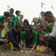 Semester I 2026, PT Timah Reklamasi 78,21 Hektare Lahan Bekas Tambang di Babel