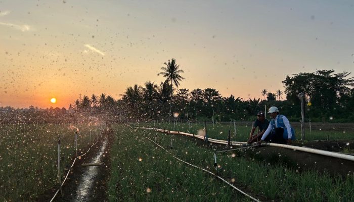 Pemerintah Tetapkan Tarif Listrik Triwulan III 2026 Tetap, PLN Pastikan Layanan Tetap Andal