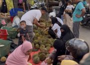 Kontes Durian Lokal Babel 2026 Jadi Strategi Pemprov Dorong Ekonomi Masyarakat dan Lestarikan Varietas Unggulan