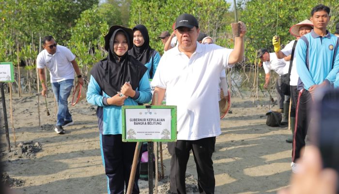 Hari Mangrove Sedunia 2026, Pemprov Babel Gelar Penanaman Massal 3.300 Mangrove di Pantai Menuang