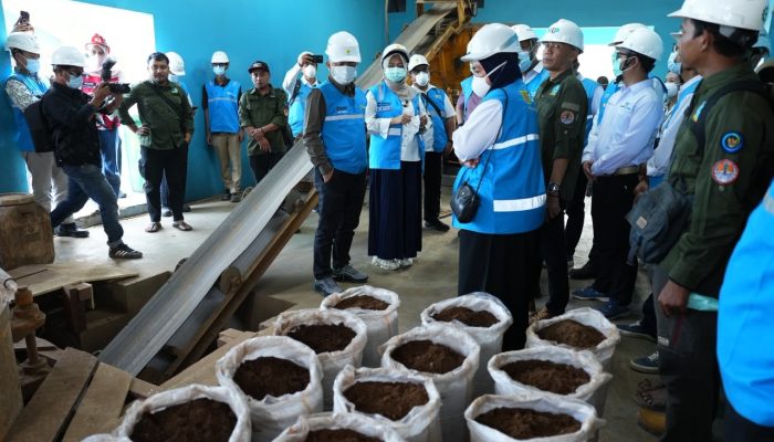 PLN Babel Kembangkan Pemanfaatan FABA untuk Dukung Ketahanan Pangan dan Ekonomi Masyarakat