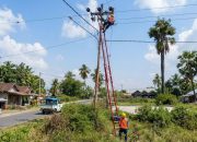 Dirut PLN Kawal Langsung Kelistrikan Nasional Jelang HUT ke-81 Kemerdekaan RI dari Posko NTT