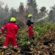 PT TIMAH Kerahkan Personel Fire Fighter Bersama Grup MIND ID Tangani Karhutla di Kalimantan Barat