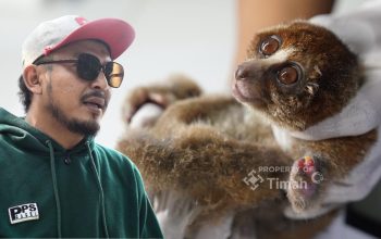 Karhutla Ancam Satwa Liar, PT TIMAH dan Alobi Perkuat Penyelamatan di Bangka Belitung