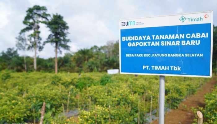 Dari Pertanian hingga Perikanan, PT TIMAH Dukung Ketahanan Pangan di Wilayah Operasional