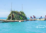 Dari Terumbu Buatan hingga Restocking Cumi, Upaya PT TIMAH Jaga Ekosistem Laut dan Dukung Nelayan