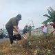 Pemkot Pangkalpinang Tekankan Kesadaran Warga, Sanksi Pembuang Sampah Sembarangan Mulai Diterapkan