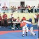 Prof Udin Dorong Turnamen Taekwondo Jadi Ajang Pembinaan Atlet Pelajar