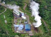 PLN dan The Climate Group Perkuat Kolaborasi Pengembangan Produk Energi Hijau dan Buka Peluang Investasi Berkelanjutan