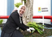 PLN Babel Bangun EcoFABA Legacy Park, Donasi Pohon Pegawai Jadi Warisan Lingkungan