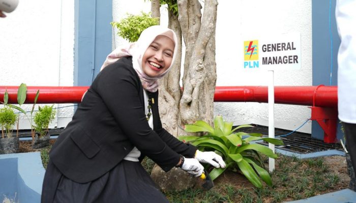 PLN Babel Bangun EcoFABA Legacy Park, Donasi Pohon Pegawai Jadi Warisan Lingkungan